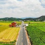 田园泗马ico