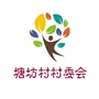 张芝山镇糖坊村ico