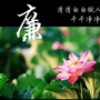 勤廉铁东ico