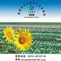 达茂旗乌克忽洞镇人民政府公众号ico