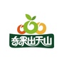 奇果出天山ico