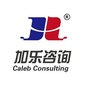 加乐咨询ico