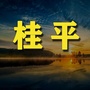 桂平老乡网ico
