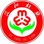 资阳妇联ico