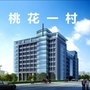 桃花一村ico