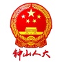 钟山人大ico