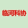 临河区科协ico
