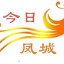 今日凤城ico