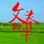 文化莽卡ico