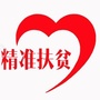 凤泉扶贫ico