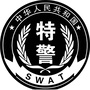 曲靖特警ico