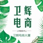 卫辉电商ico