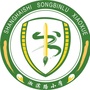 上海市宝山区淞滨路小学ico