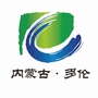 畅玩多伦ico