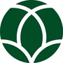 上蔬塘桥热点ico