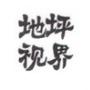 地坪视界ico