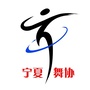 宁夏舞蹈家协会公众号ico