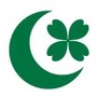 佛山绿城公众号ico