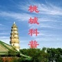 衡水桃城科普生活公众号ico
