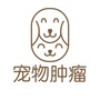 宠物肿瘤ico