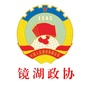 镜湖政协ico