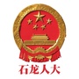 石龙人大ico