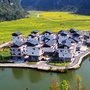 智慧田阳巴某村ico
