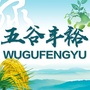 五谷丰裕公众号ico