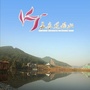 莲花四家ico