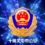 十师北屯市公安ico