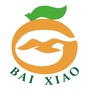 白关中心小学ico
