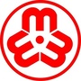 枫溪妇联ico