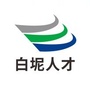 白坭人才公众号ico