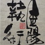 金阳蓺術ico
