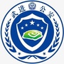 平安鸣凰微警务公众号ico
