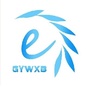 网信贵阳ico