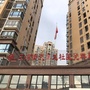 五龙社区居民委员会公众号ico
