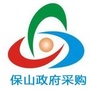 保山政府采购ico