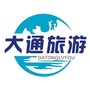 大通旅游公司ico