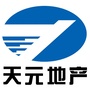天元地产ico