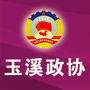 玉溪政协ico