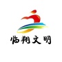 临翔文明ico