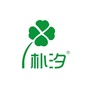 朴汐体育ico