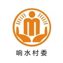 周嘉响水阳光村务ico