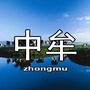 中牟本地资讯ico
