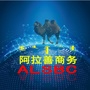 阿拉善商务ico