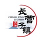 长营子镇宣传ico