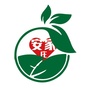 安家庄村党建ico