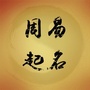 周易诗经取名字ico