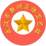 新洲体卫艺ico